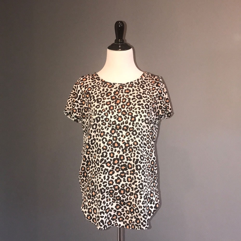 Ann Taylor Blouse